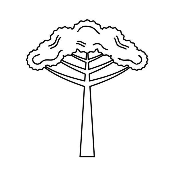 Ikona stromu Araucaria — Stockový vektor
