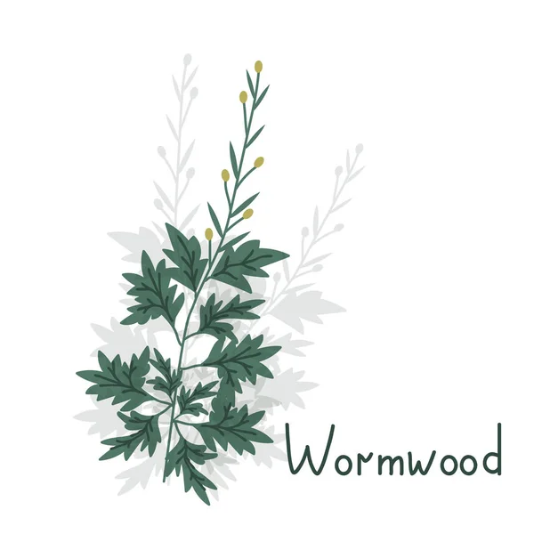 Artemisia planta isolada —  Vetores de Stock