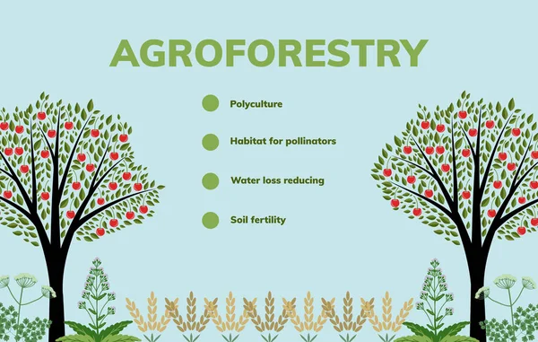 Agroforestry vektör illüstrasyon Stok Vektör