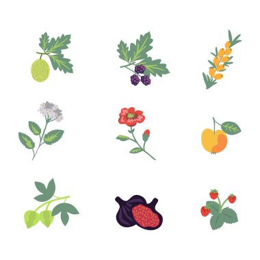 Rosales izole vektör bitkileri