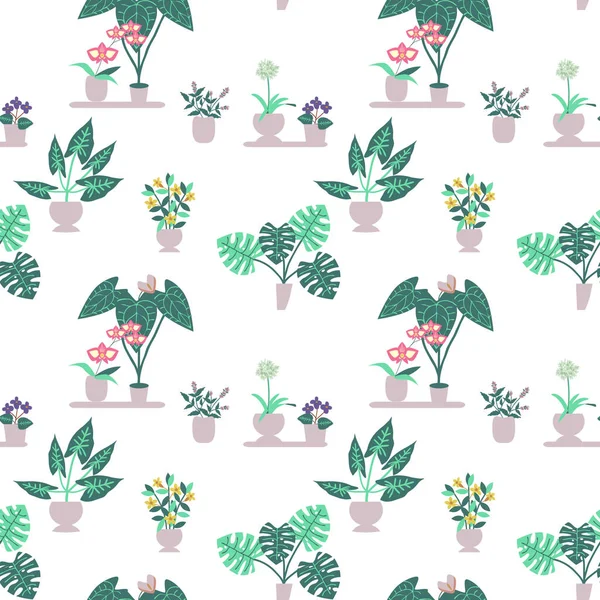 Maison Sans Couture Plantes Modèle Vectoriel — Image vectorielle