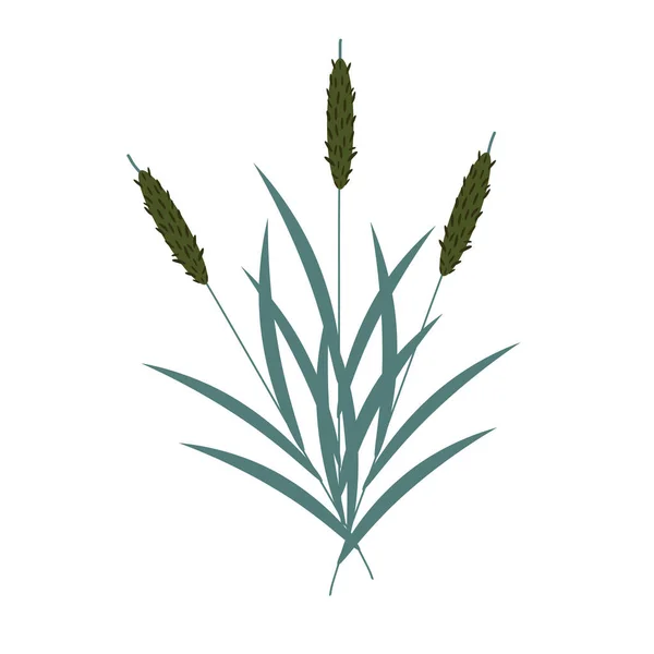 ブラッシュ植物の簡単なベクトルイラスト — ストックベクタ