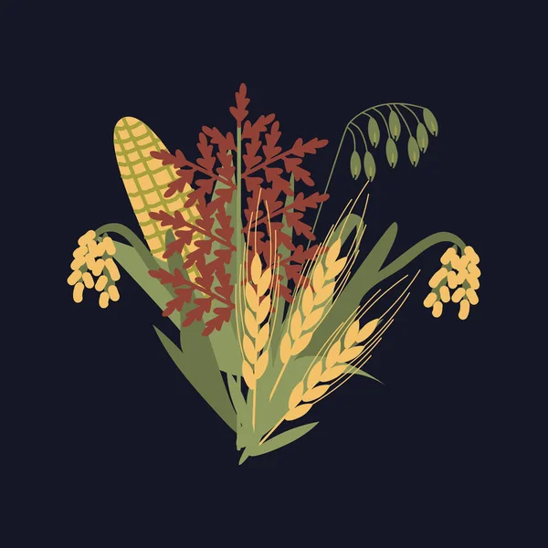 Plantas Cereales Racimo Vector Ilustración — Archivo Imágenes Vectoriales