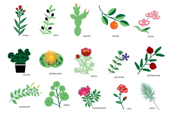 Isolated Plants Simple Icons Collection — Stock Vector