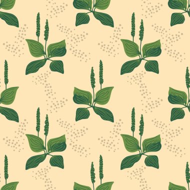 Kusursuz plantain vektör basit desen