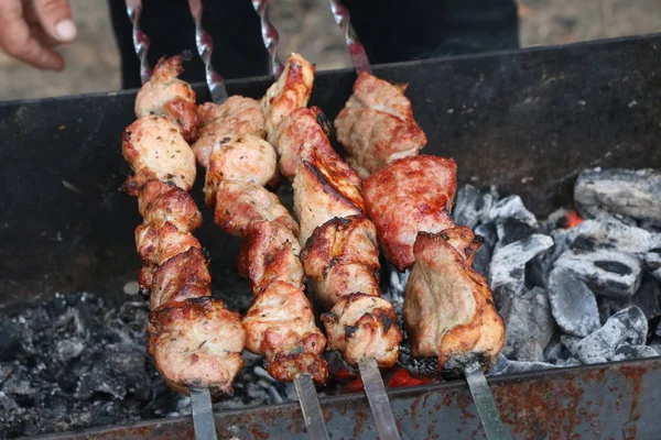 Adam et, biftek, ızgara, mangal, piknik yapıyor.,