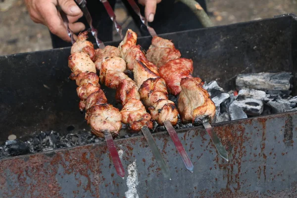 Adam et, biftek, ızgara, mangal, piknik yapıyor.,