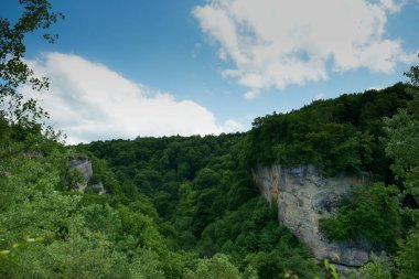 Ağaçlar, gökyüzü, mavi gökyüzü, manzara, doğa, bahar, manzara