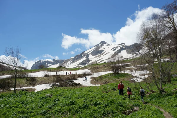 Ağaçlar, gökyüzü, mavi gökyüzü, manzara, doğa, bahar, kar, dağ karı, panorama