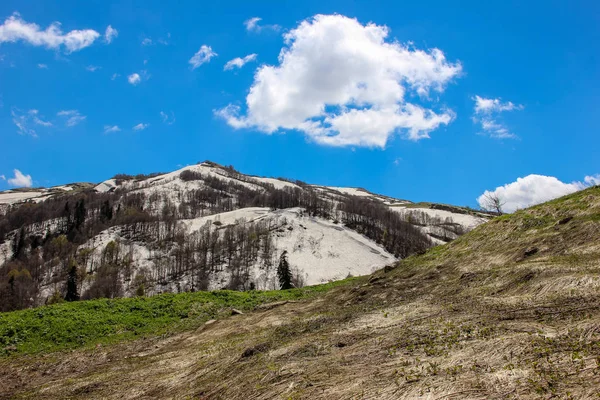 Mavi gökyüzü, bulutlar, Lago Naki Platosu, Rusya, Batı Kafkasya, Adygea Cumhuriyeti. Dağlar, doğa, bahar, kar, köknar ağaçları ve çam ağaçları