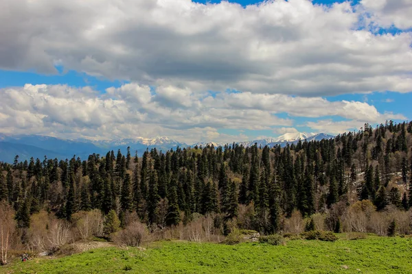 Ağaçlar, gökyüzü, mavi gökyüzü, manzara, doğa, bahar, kar, dağ karı, panorama