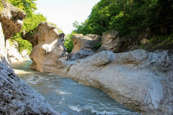Kurjips Nehri, Rusya, Lago Naki Platosu, Batı Kafkasya, Adygea Cumhuriyeti. Dağlar, nehir, doğa, bahar 