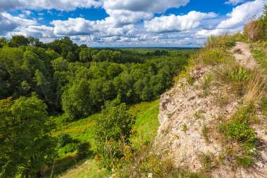 Bir tepenin üstünde bir ortaçağ kalesi yıkık duvar mavi bulutlar gökyüzünde altında yeşil yaz ormanın panoramik manzaralı. Koporye kale, Leningrad bölgesinde, Saint Petersburg, Rusya Federasyonu.