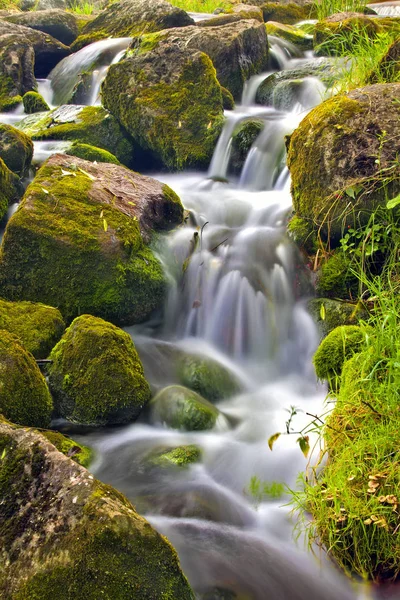 Small Waterfall Large Hemmed Wet Stones Covered Moss Green Grass — Stock Photo, Image
