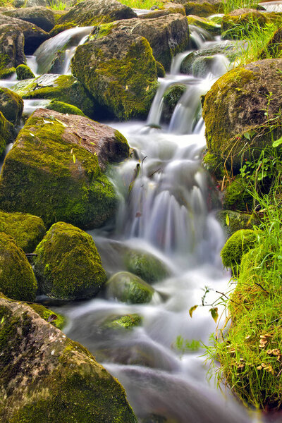 A small waterfall among the large hemmed wet stones covered with moss and green grass. The rapid flow of river blured with long exposure time. English Pond, Peterhof, Saint Petersburg, Russia.