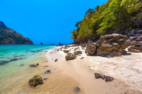 Festői Sötét Ragadós Megkövesedett Héja Strandon Fehér Homok Átlátható Türkiz — Stock Fotó