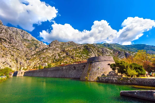 Gran Muralla Piedra Medieval Histórica Frente Foso Con Agua Verde —  Fotos de Stock