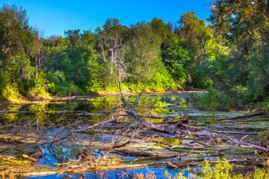 Ufa'nın doğası, Başkurdistan, Rusya.