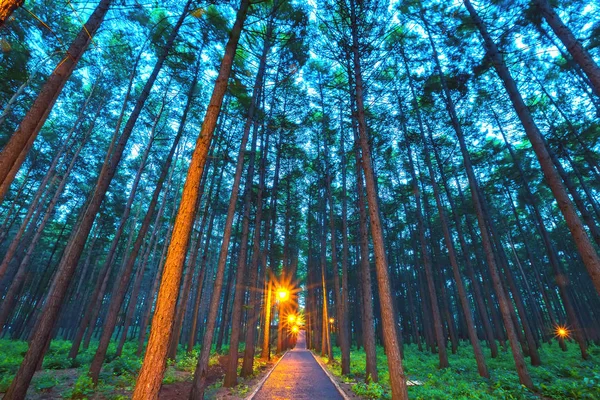 Ufa, baschkortostan, russland. — Stockfoto