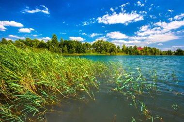 Ufa, Bashkortostan, Rusya Federasyonu