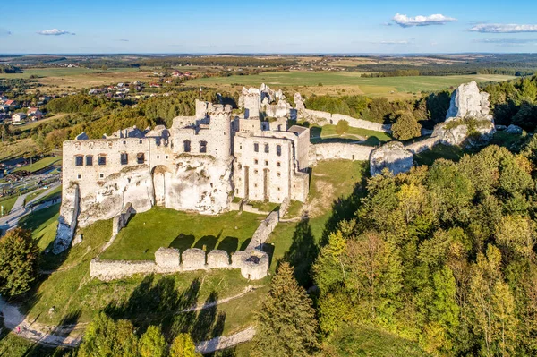 Ruinen Der Mittelalterlichen Burg Auf Dem Felsen Ogrodzieniec Polen Eines — Stockfoto