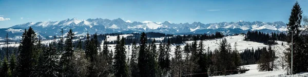 Wide panorama of Tatra Mountains — Stock Photo, Image