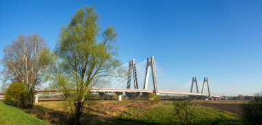 Polonya 'nın Krakow kentindeki Vistula Nehri üzerindeki modern çift kablolu köprü. Gün doğumunda ağaçlarla dolu geniş bir manzara.