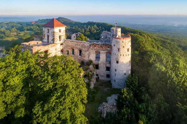 Zřícenina Středověkého Hradu Tenczyn Rudně Krakova Polsku Letecký Pohled Východ — Stock fotografie