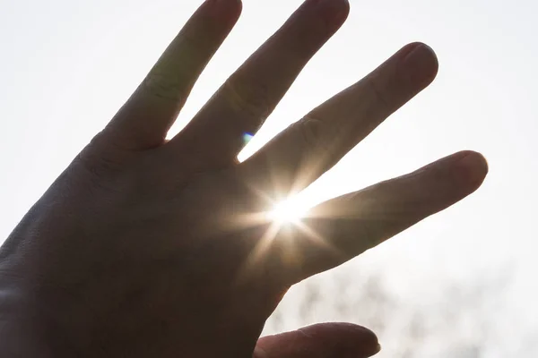 Yakın Çekim Parmaklar Sayesinde Palm Güneş Işınları — Stok fotoğraf