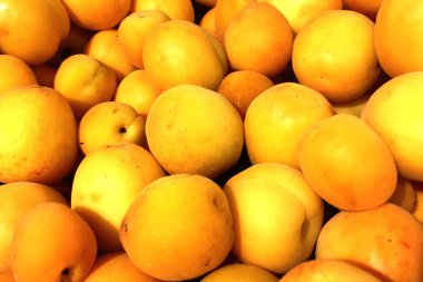 Marketin tezgahında sarı olgun kayısılar, yaz hasadı.