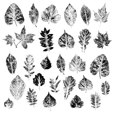 Ağaçlar ve çalılar siyah siluetler yaprakları. Vektör çizimler kümesi