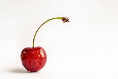 Meyveler olgun kiraz, çiy damlaları, tek parça. Stüdyo beyaz arka plan