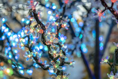 Noel süsleri, neon çelenk, parlak çiçekler, yeni yılın iç