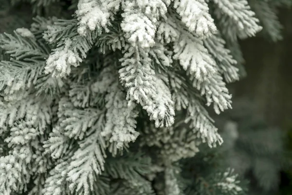 Decorazioni Natale Ghirlande Palle Vacanza Anno Nuovo — Foto Stock