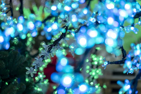 Decorações Natal Guirlandas Néon Flores Brilhantes Interior Ano Novo — Fotografia de Stock