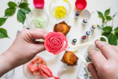 Beyaz arka plan kek kalıpları, spatula, corolla, koni krem, Kore buttercream çiçekler için