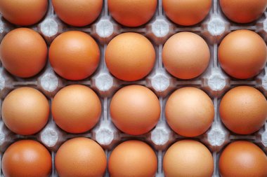 yumurta bir kağıt tepsi, kahverengi renk, üst görünümü yalan