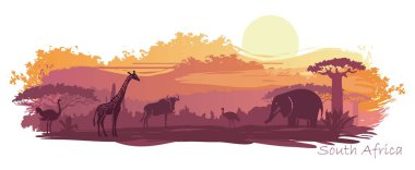 Afrika yatay, vahşi hayvanlar