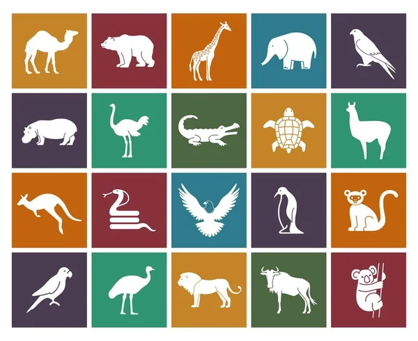 Conjunto de iconos de animales salvajes y aves. Ilustración vectorial — Vector de stock
