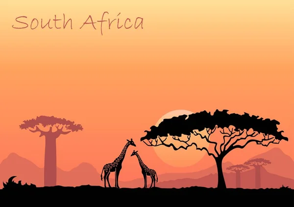 Дикие Животные Фоне Африканского Заката — стоковый вектор