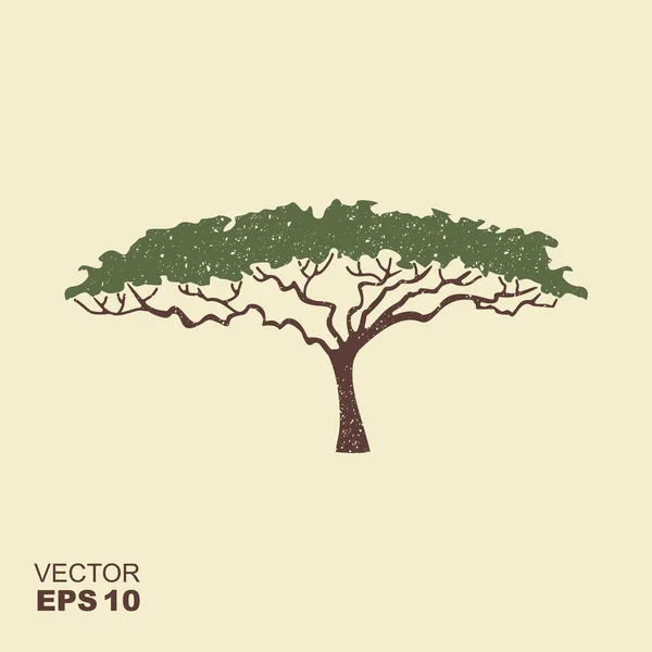 Icono de árbol africano, silueta de árbol de acacia. Icono con efecto rayado — Archivo Imágenes Vectoriales