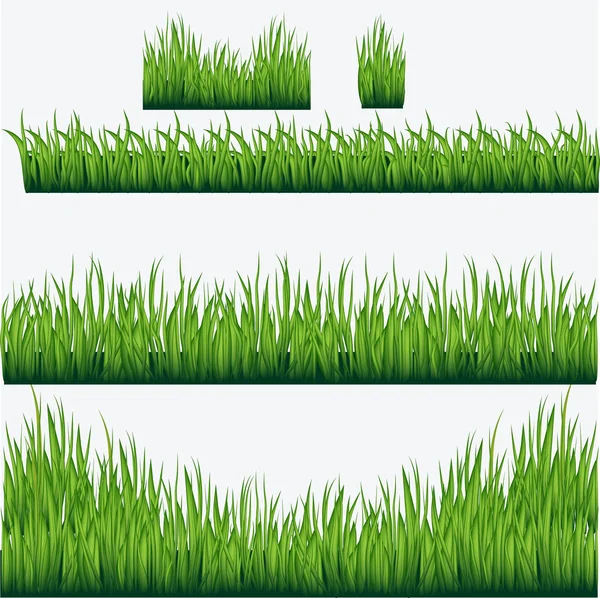 Grünes Gras Grenzt Isoliert Auf Weißem Hintergrund — Stockvektor
