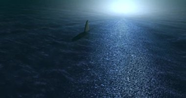 Bir sualtı sahne iki köpekbalığı Yüzme.