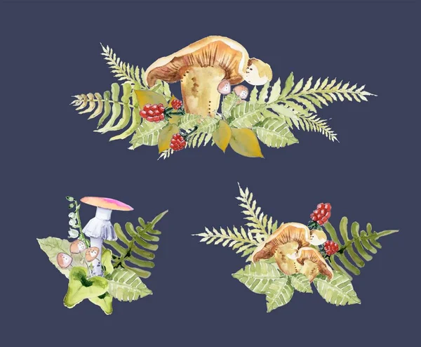 Illustrazione Con Acquerello Bacche Piante Invernali — Foto Stock