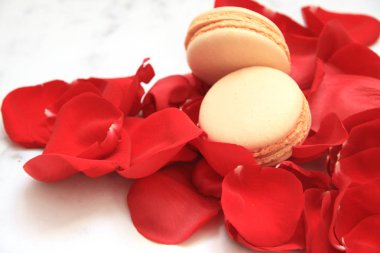 Gül yaprakları, kartpostal ve macaroons beyaz üzerine yapılan kalp