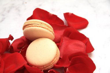 Gül yaprakları, kartpostal ve macaroons beyaz üzerine yapılan kalp