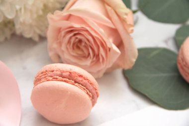 Sevgililer günü, macaroons, gül, okaliptüs, pembe zarf için kompozisyon
