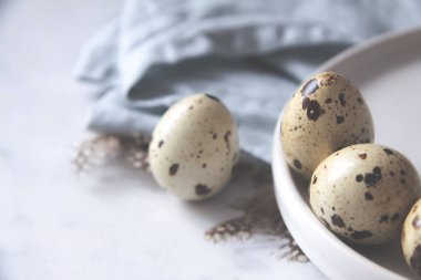 Bıldırcın yumurta çanak havlu kuş tüyleri