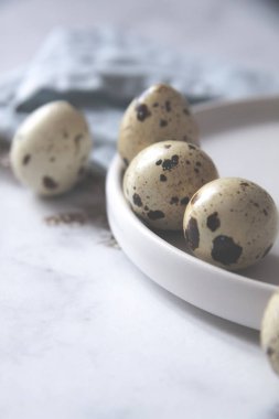 Bıldırcın yumurta çanak havlu kuş tüyleri