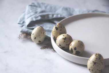 Bıldırcın yumurta çanak havlu kuş tüyleri